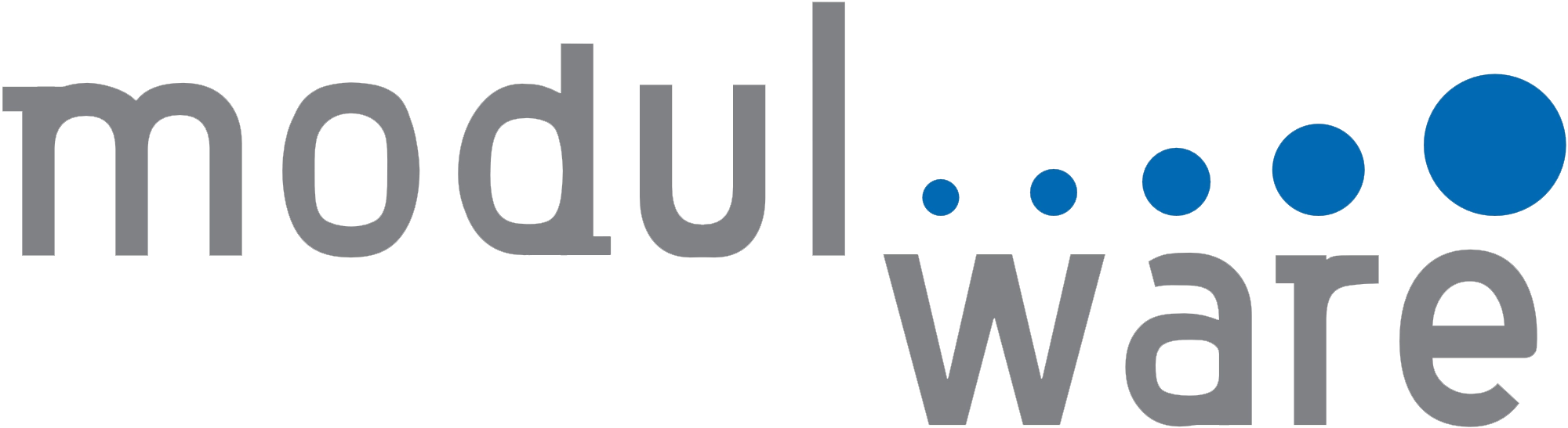 modul ware – IT Consulting AG